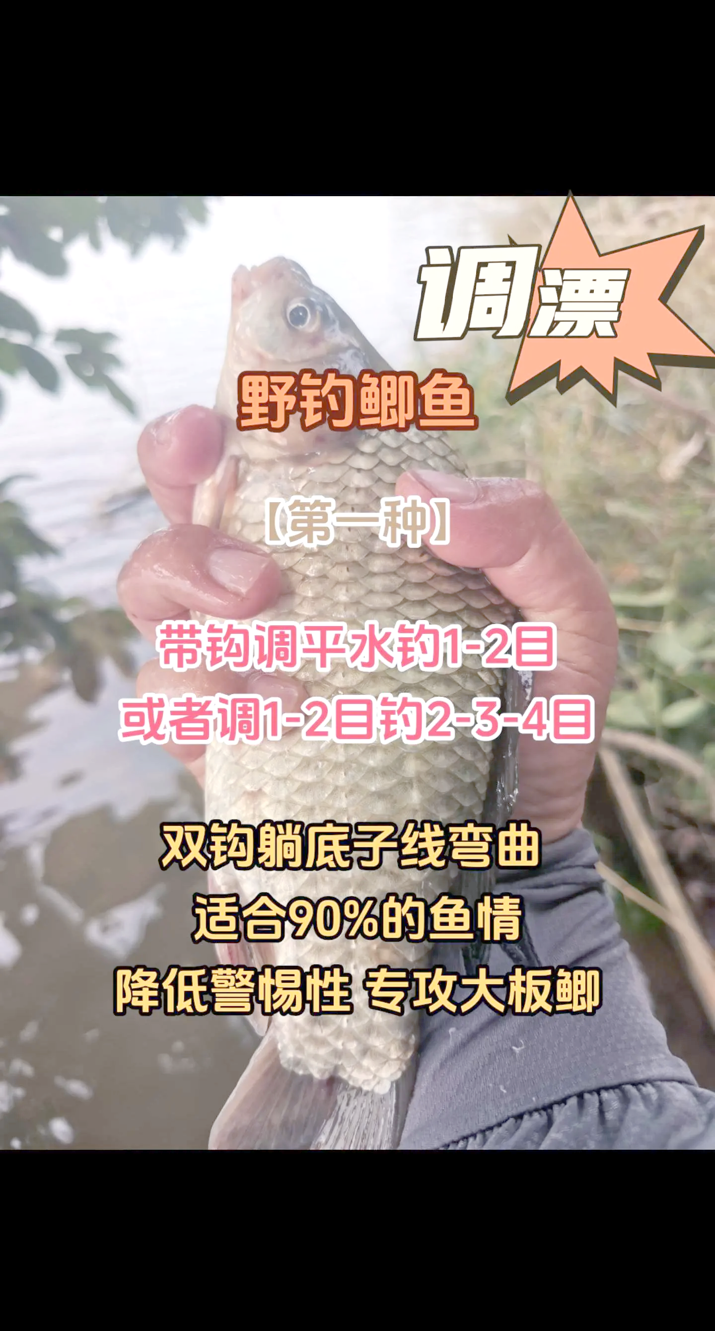 大棚钓鲤鱼调漂技巧(大棚鲤鱼怎么钓) 大棚钓鲤鱼调漂技巧(大棚鲤鱼怎么钓)