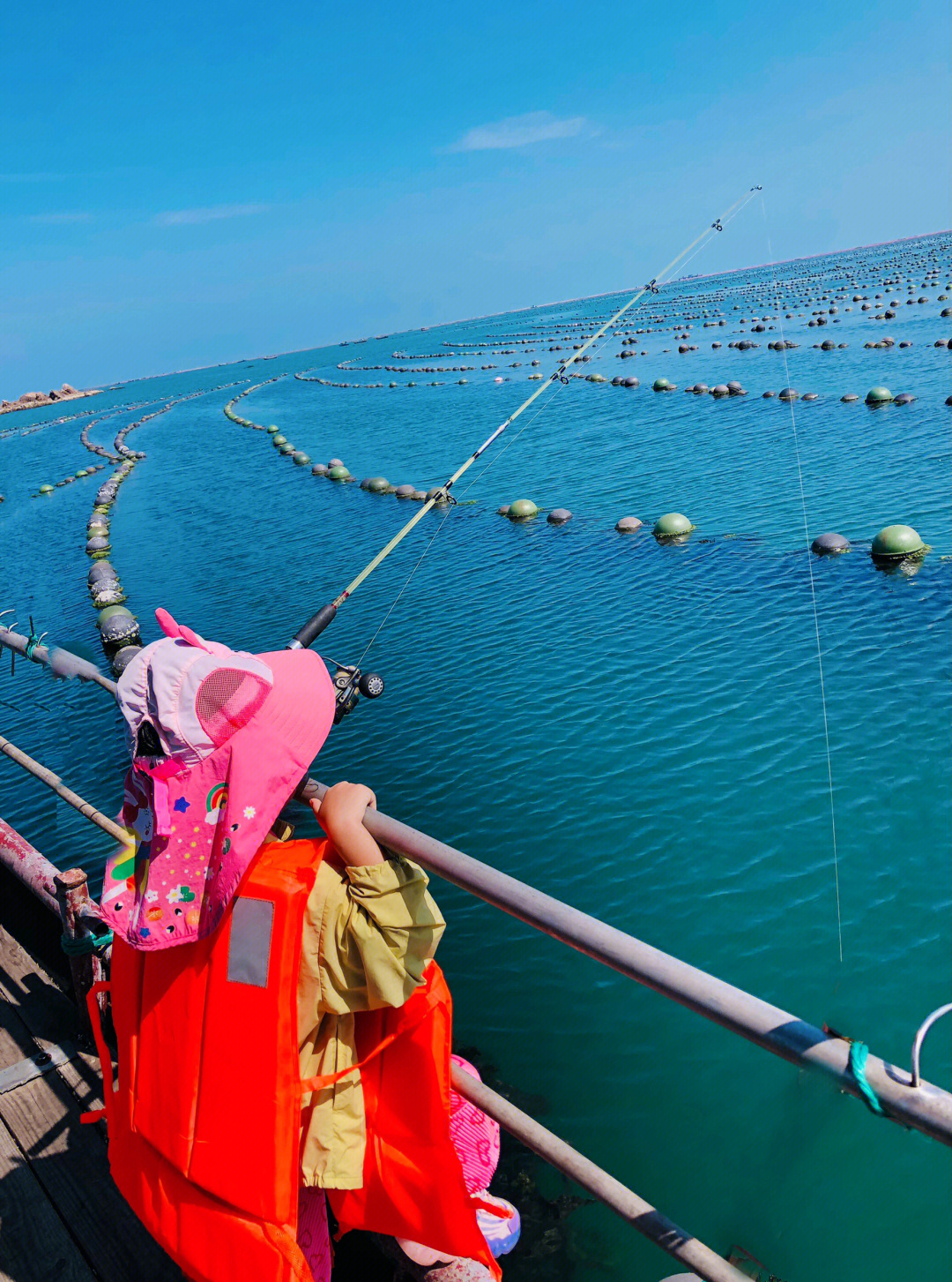 荣成海钓视频大全集(荣成海边钓鱼) 荣成海钓视频大全集(荣成海边钓鱼)