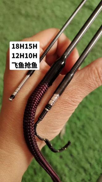 黑坑钓鲫鱼飞鱼技巧(黑坑鲫鱼怎么钓浮)