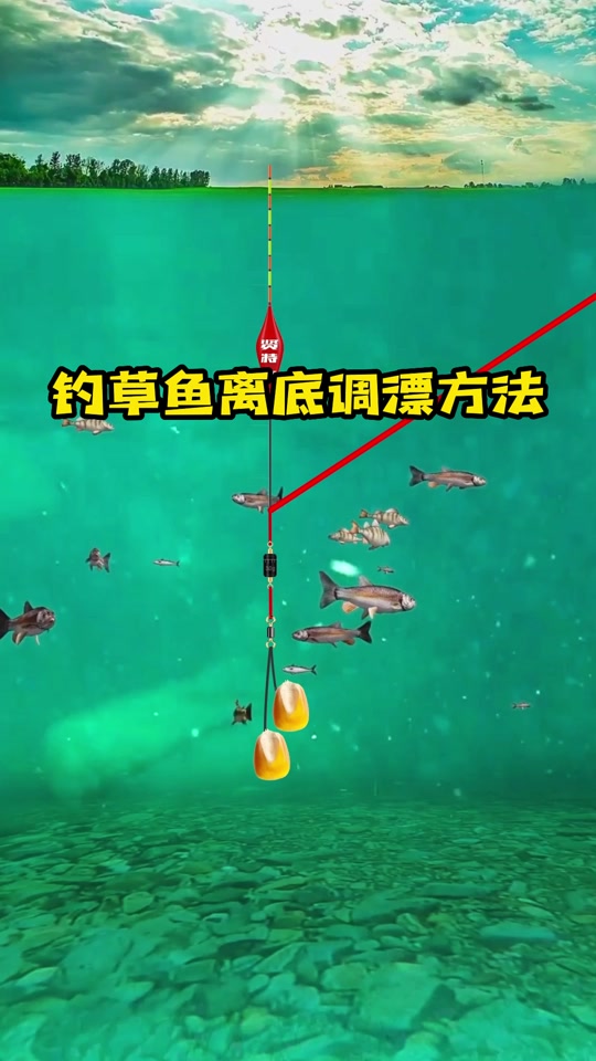 秋季晚上钓草鱼技巧(秋季钓草鱼夜钓好还是白天好) 秋季晚上钓草鱼技巧(秋季钓草鱼夜钓好还是白天好)