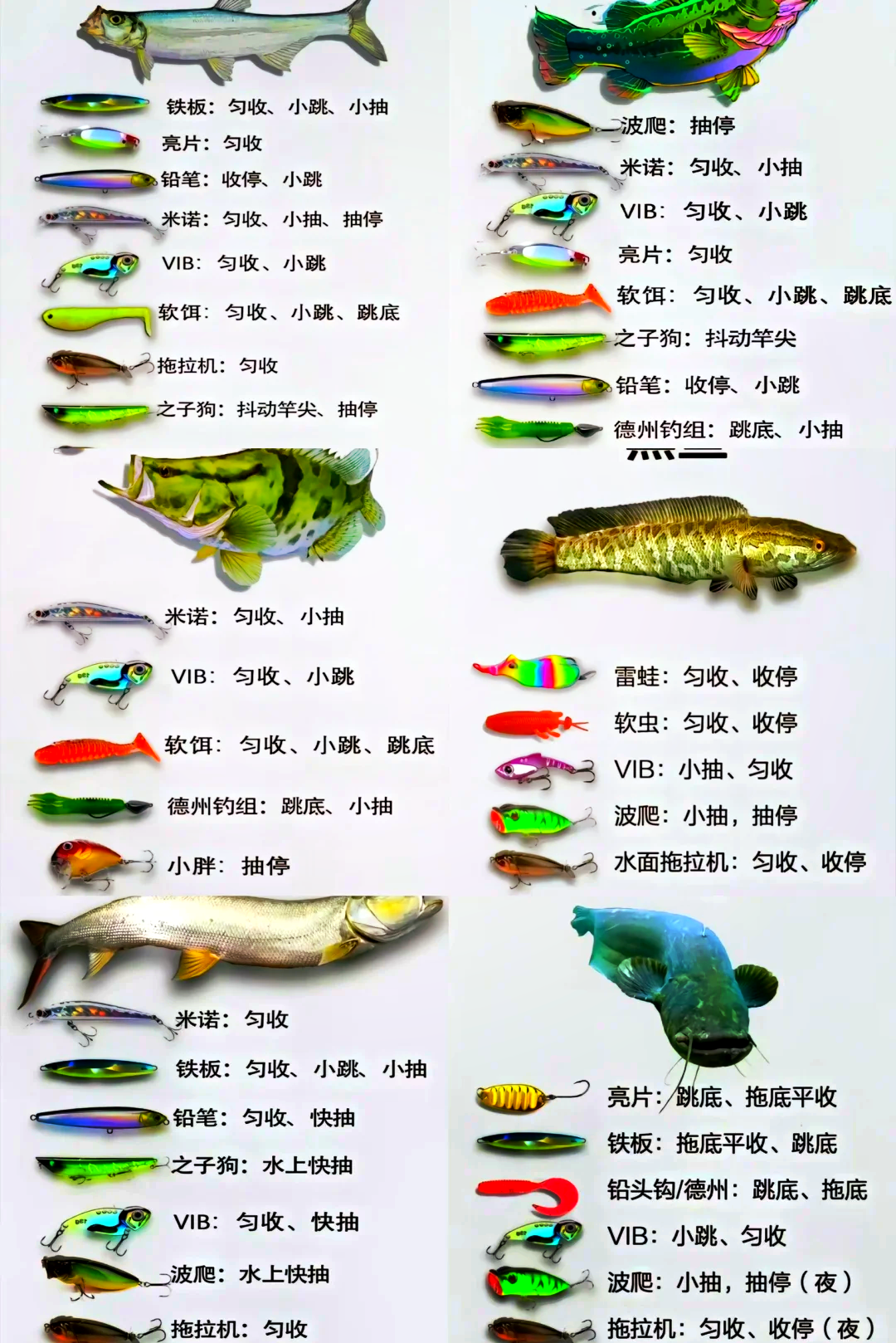 冬季野钓饵料配方大全(冬季野钓饵料配方大全视频) 冬季野钓饵料配方大全(冬季野钓饵料配方大全视频)