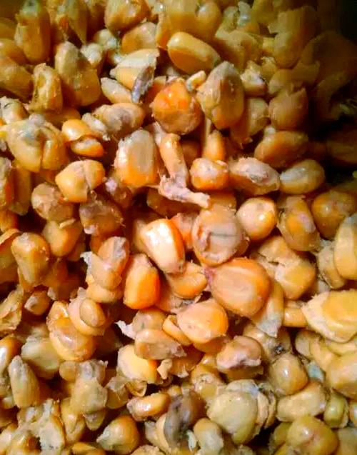 玉米颗粒自制饵料(玉米颗粒自制饵料配方) 玉米颗粒自制饵料(玉米颗粒自制饵料配方)