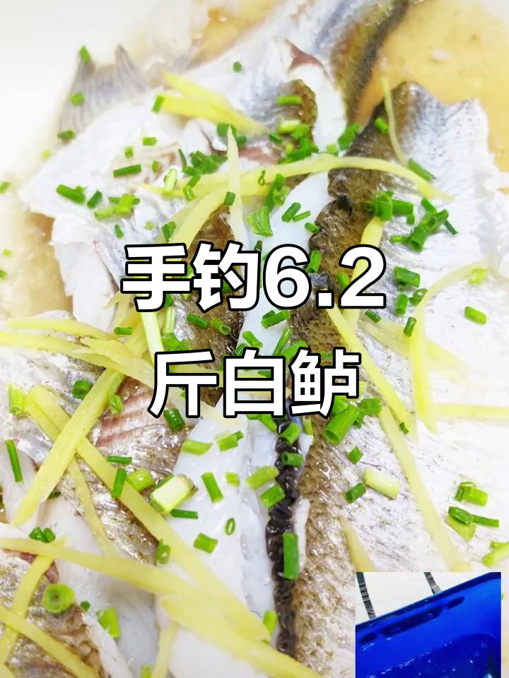 富春江钓鱼饵料技巧(富春江钓鱼地点)