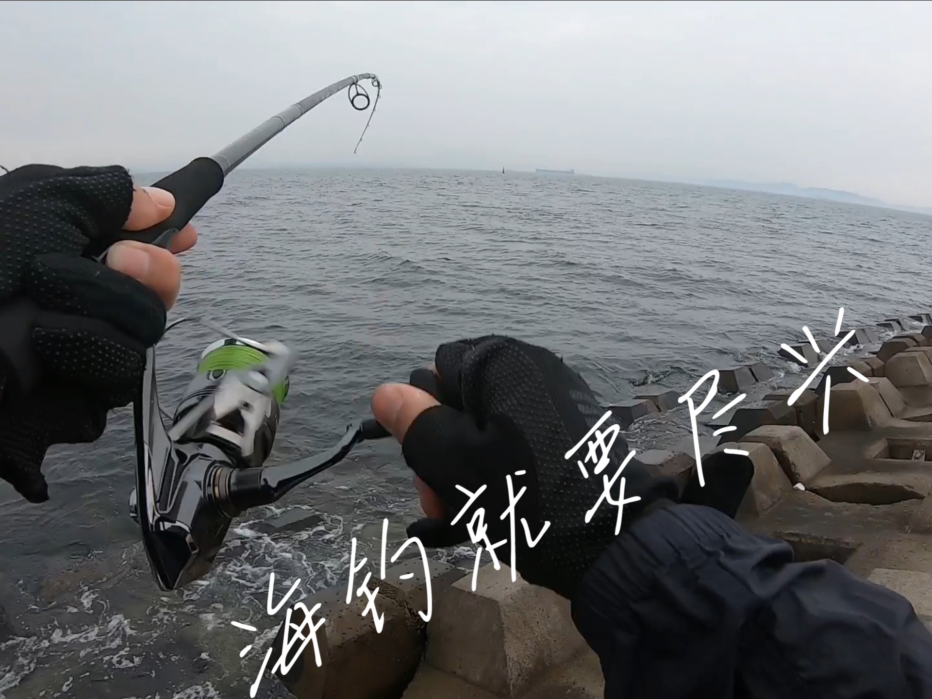 大连海钓大头(大连钓海胖头鱼最好时间) 大连海钓大头(大连钓海胖头鱼最好时间)