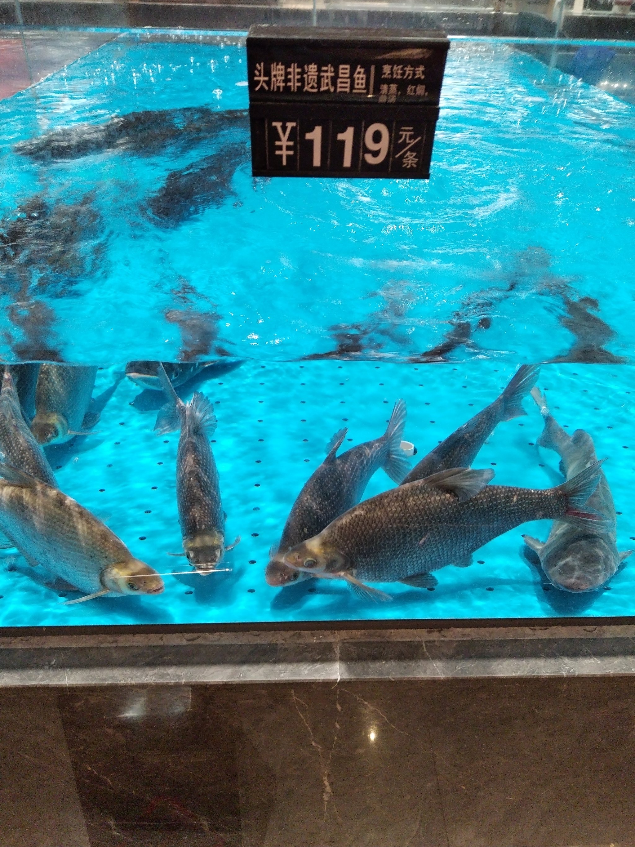 武昌渔具市场(武昌渔具批发市场) 武昌渔具市场(武昌渔具批发市场)