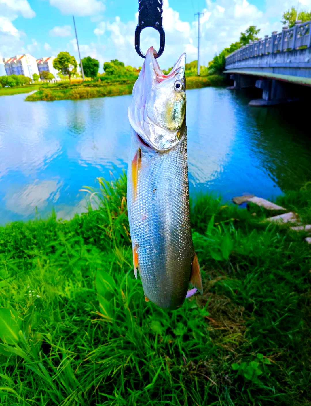 启东哪里可以路亚(启东哪里可以海钓) 启东哪里可以路亚(启东哪里可以海钓)