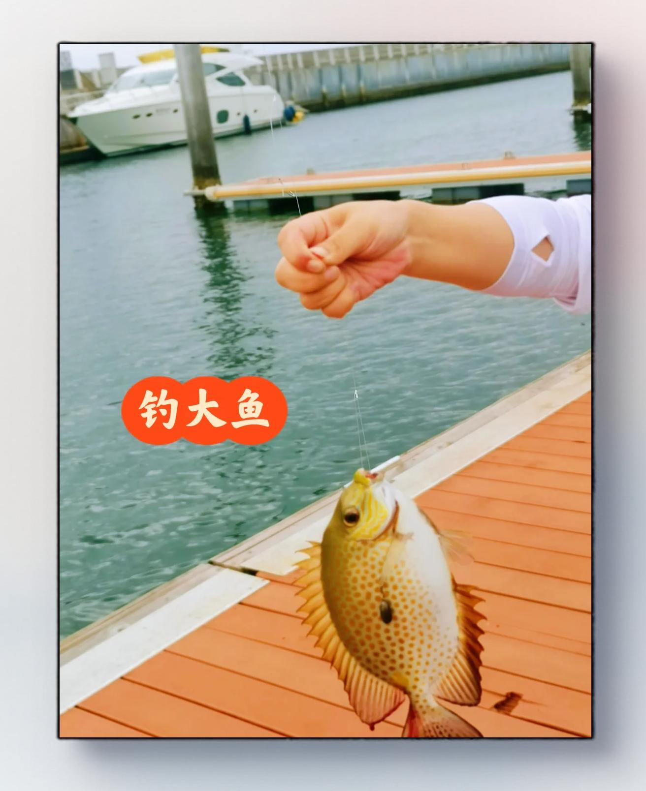 深圳海钓的位置(深圳海钓最佳地点2020) 深圳海钓的位置(深圳海钓最佳地点2020)