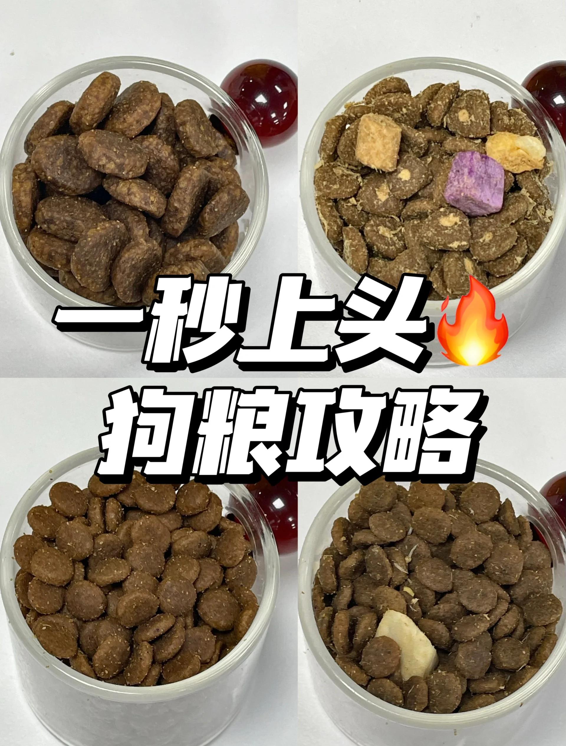 狗粮淘宝拍图技巧(淘宝十大毒狗粮排行榜) 狗粮淘宝拍图技巧(淘宝十大毒狗粮排行榜)