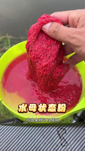 水母饵料怎么样(水母饵钓鱼怎么样) 水母饵料怎么样(水母饵钓鱼怎么样)