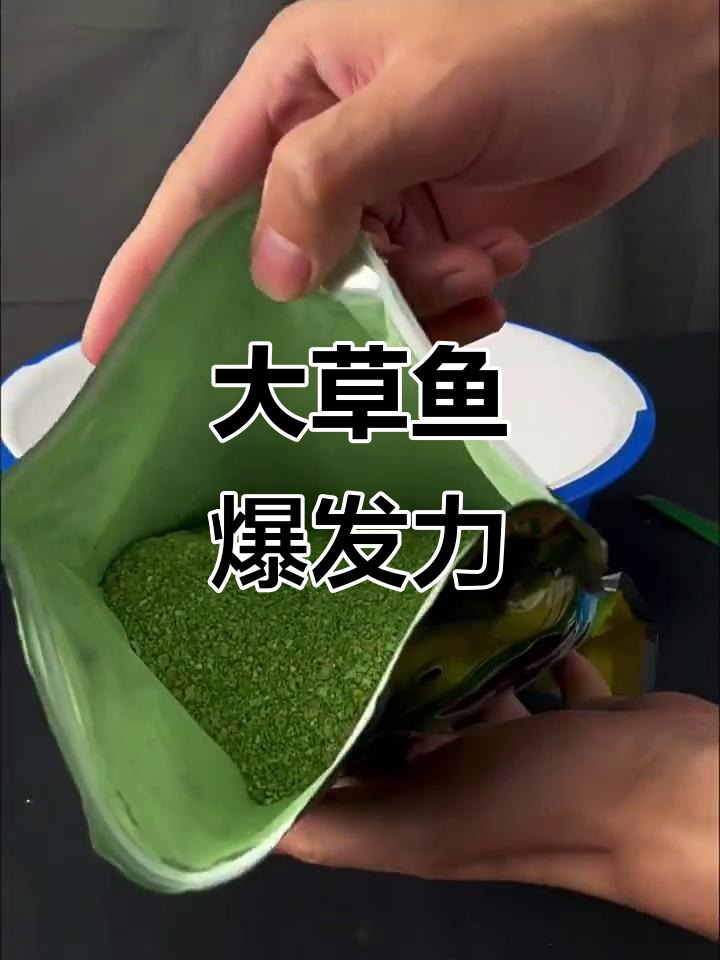 草鱼饲养投放饵料(草鱼饲料配方及其养鱼效果) 草鱼饲养投放饵料(草鱼饲料配方及其养鱼效果)