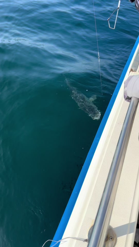 大连海钓鱼美(大连市海钓好去处) 大连海钓鱼美(大连市海钓好去处)