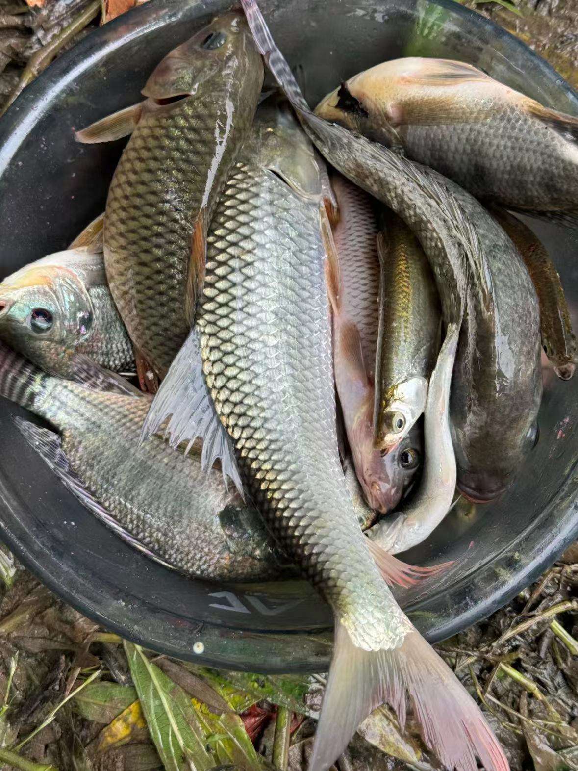 尼龙线海钓能用不(尼龙线可以海钓吗) 尼龙线海钓能用不(尼龙线可以海钓吗)