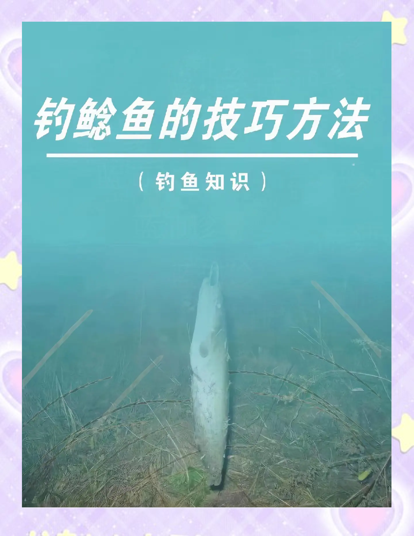 中大鱼后溜鱼技巧图解(中大鱼后如何防止断竿) 中大鱼后溜鱼技巧图解(中大鱼后如何防止断竿)