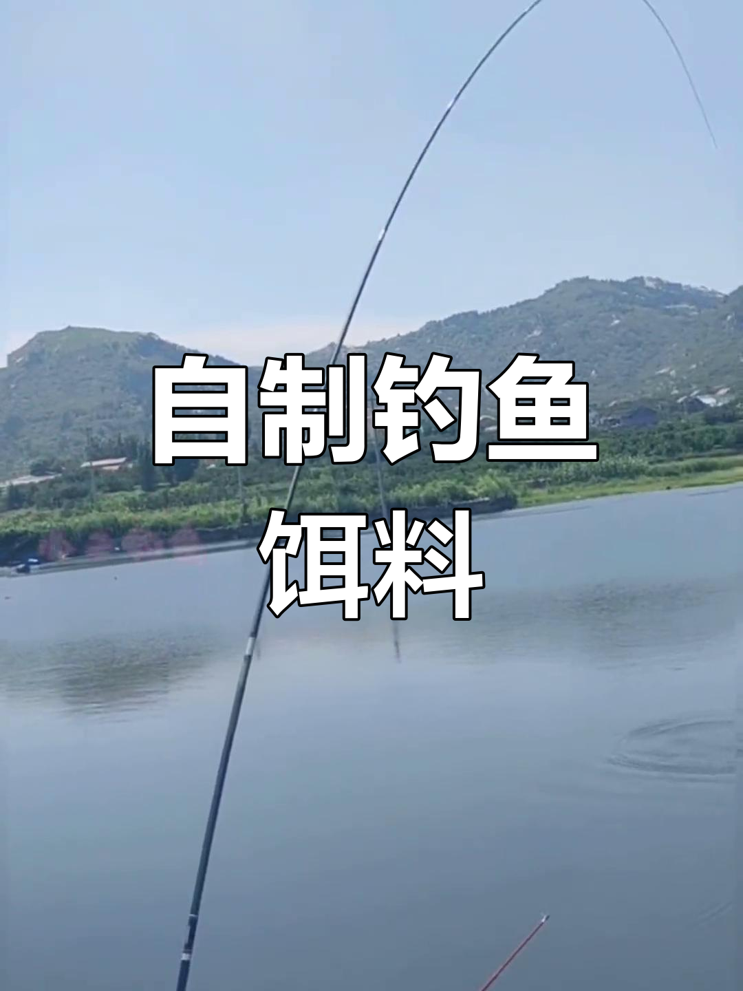 垂钓学院草鱼饵料(草鱼饵料配方商品饵料) 垂钓学院草鱼饵料(草鱼饵料配方商品饵料)