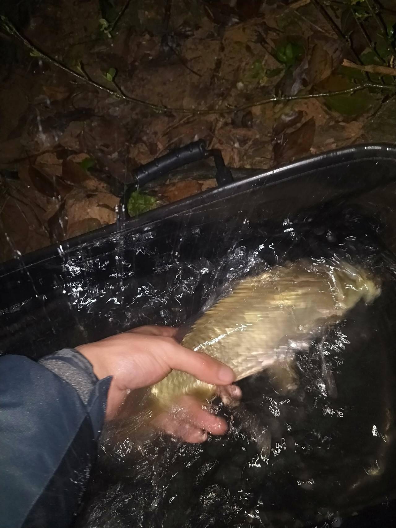 本溪晚上还有卖渔具(渔子溪黄金20秒) 本溪晚上还有卖渔具(渔子溪黄金20秒)