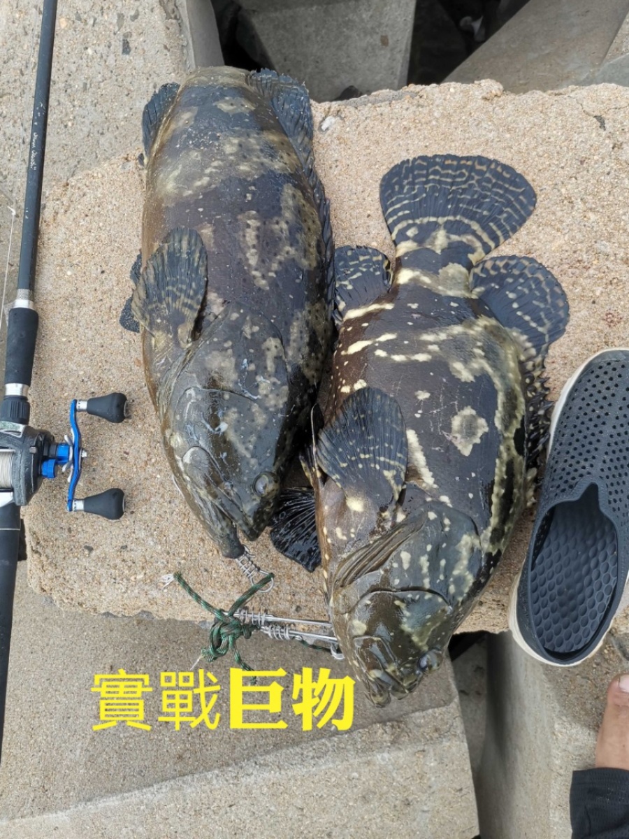 海钓适合路亚吗(海钓用路亚竿还是海竿) 海钓适合路亚吗(海钓用路亚竿还是海竿)