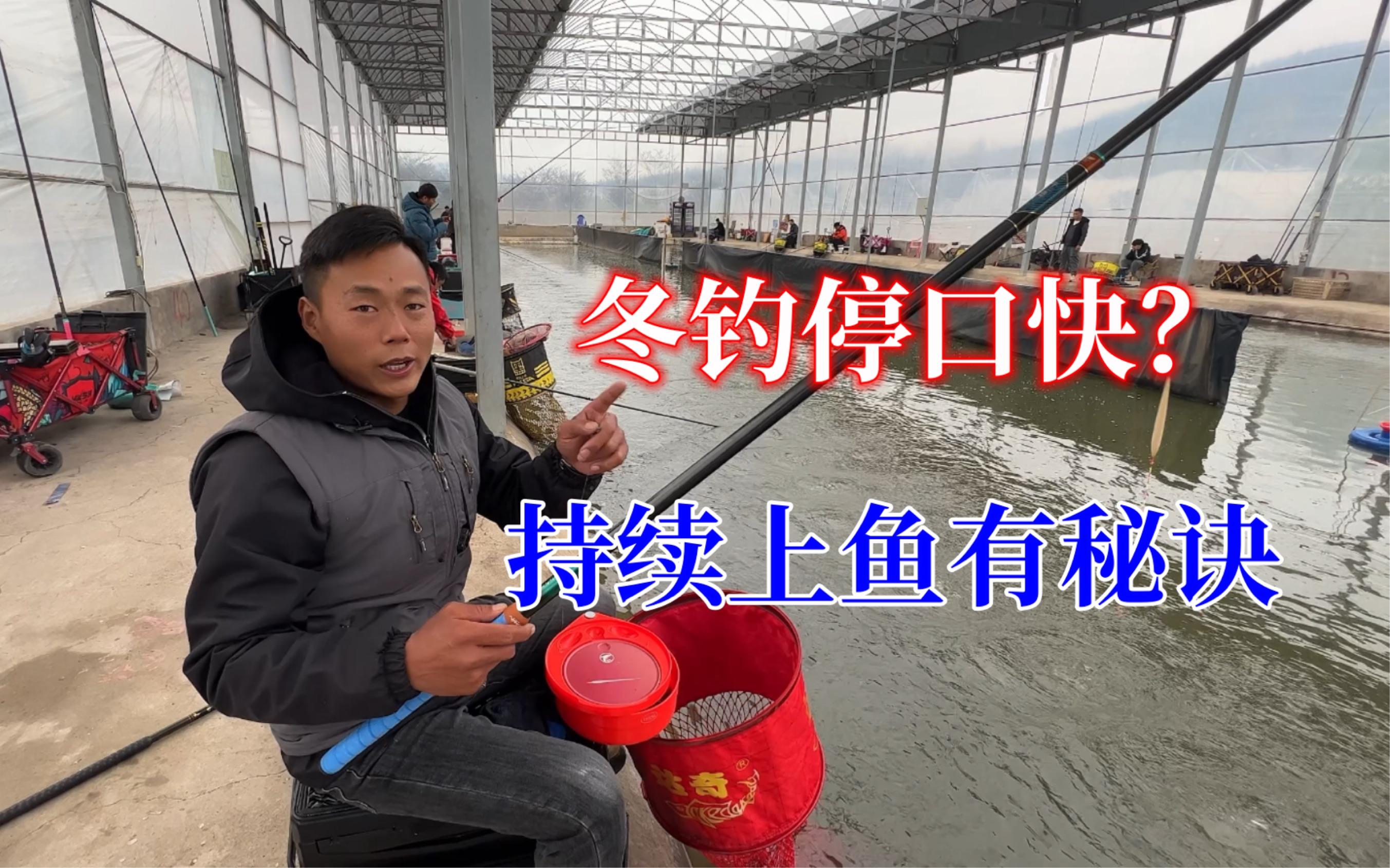 大棚钓鲫鱼饵料搭配技巧(大棚钓鲫鱼饵料搭配技巧视频) 大棚钓鲫鱼饵料搭配技巧(大棚钓鲫鱼饵料搭配技巧视频)