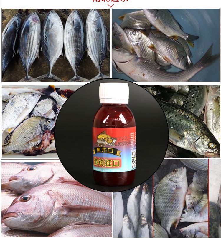 海钓诱饵小药(海钓鱼饵用小药好吗) 海钓诱饵小药(海钓鱼饵用小药好吗)