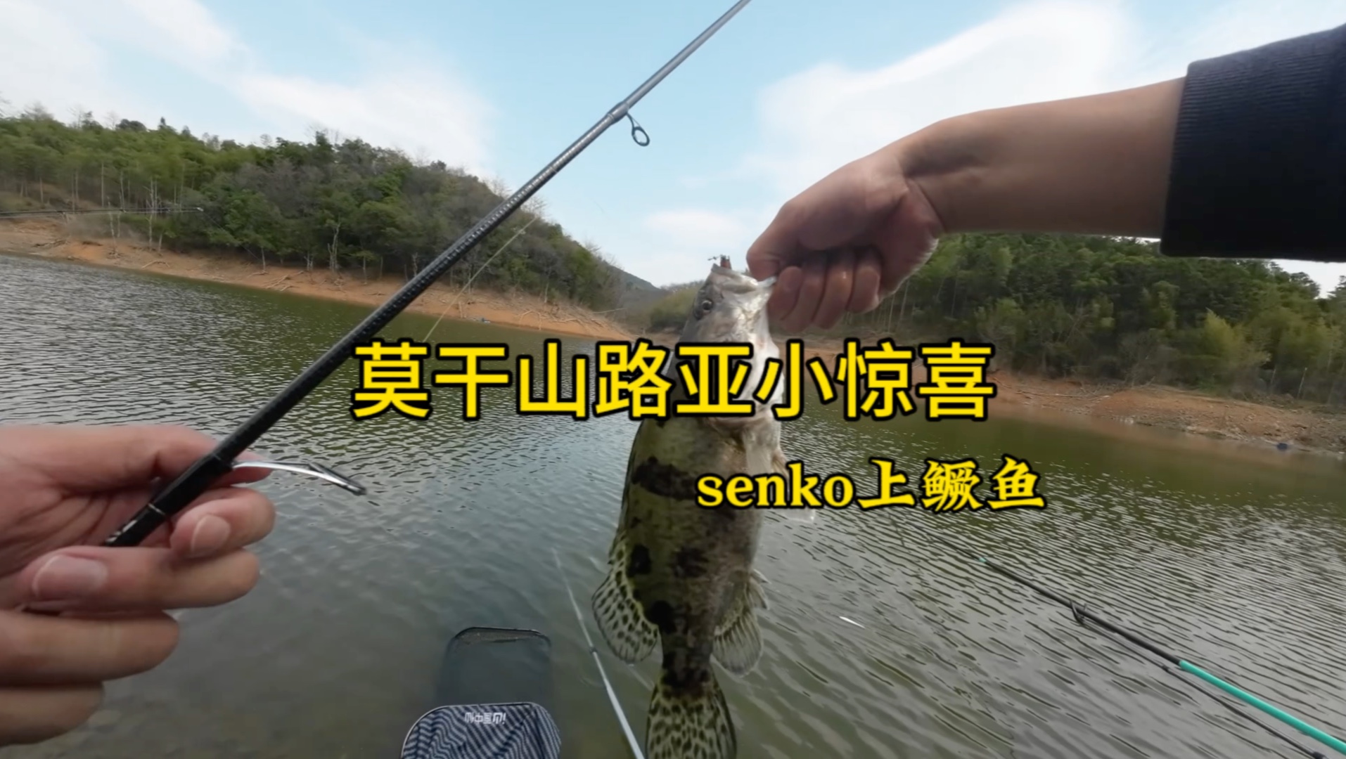 春季路亚路鲈鱼(春季水库路亚鲈鱼) 春季路亚路鲈鱼(春季水库路亚鲈鱼)