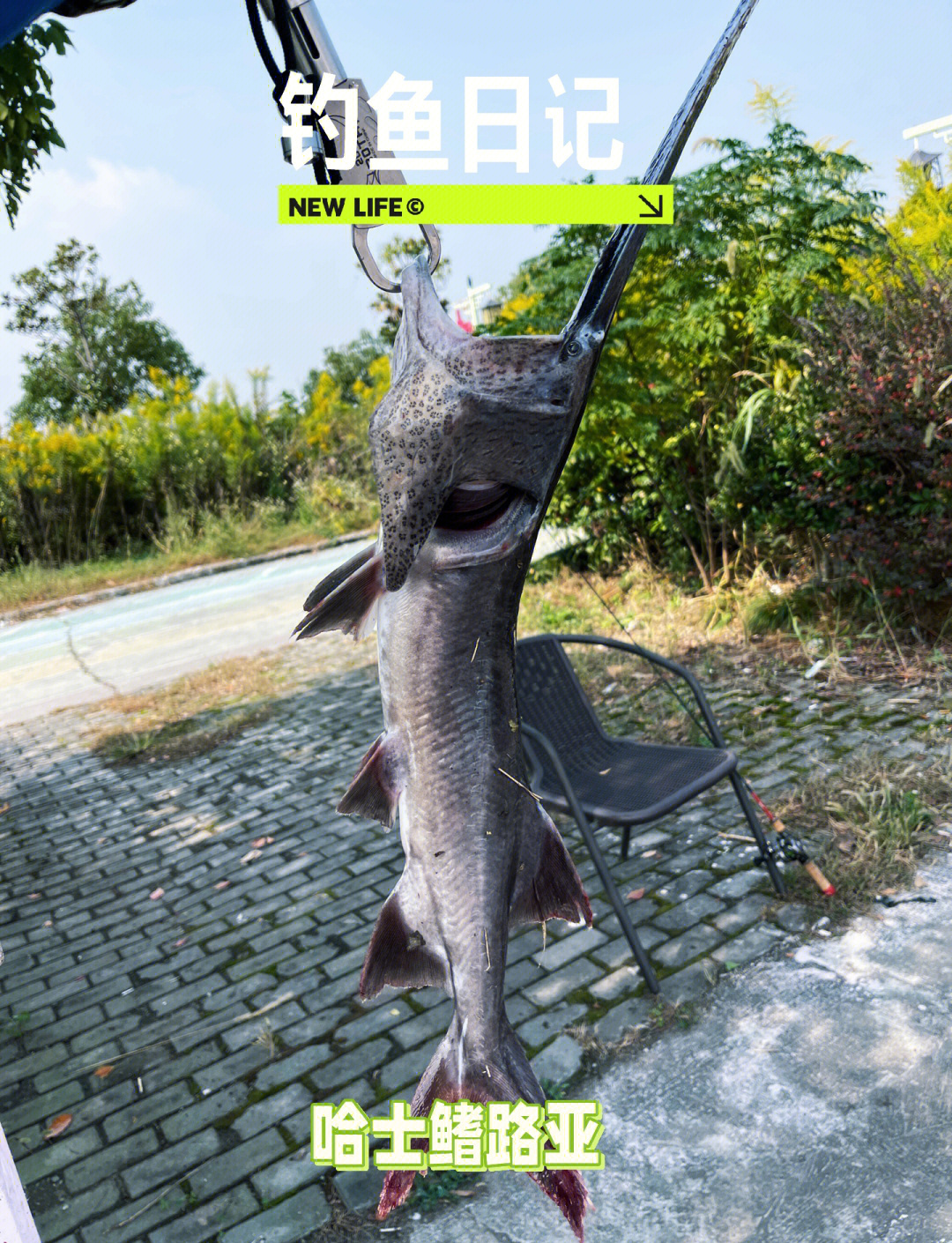 铜仁路亚俱乐部(安仁路亚) 铜仁路亚俱乐部(安仁路亚)