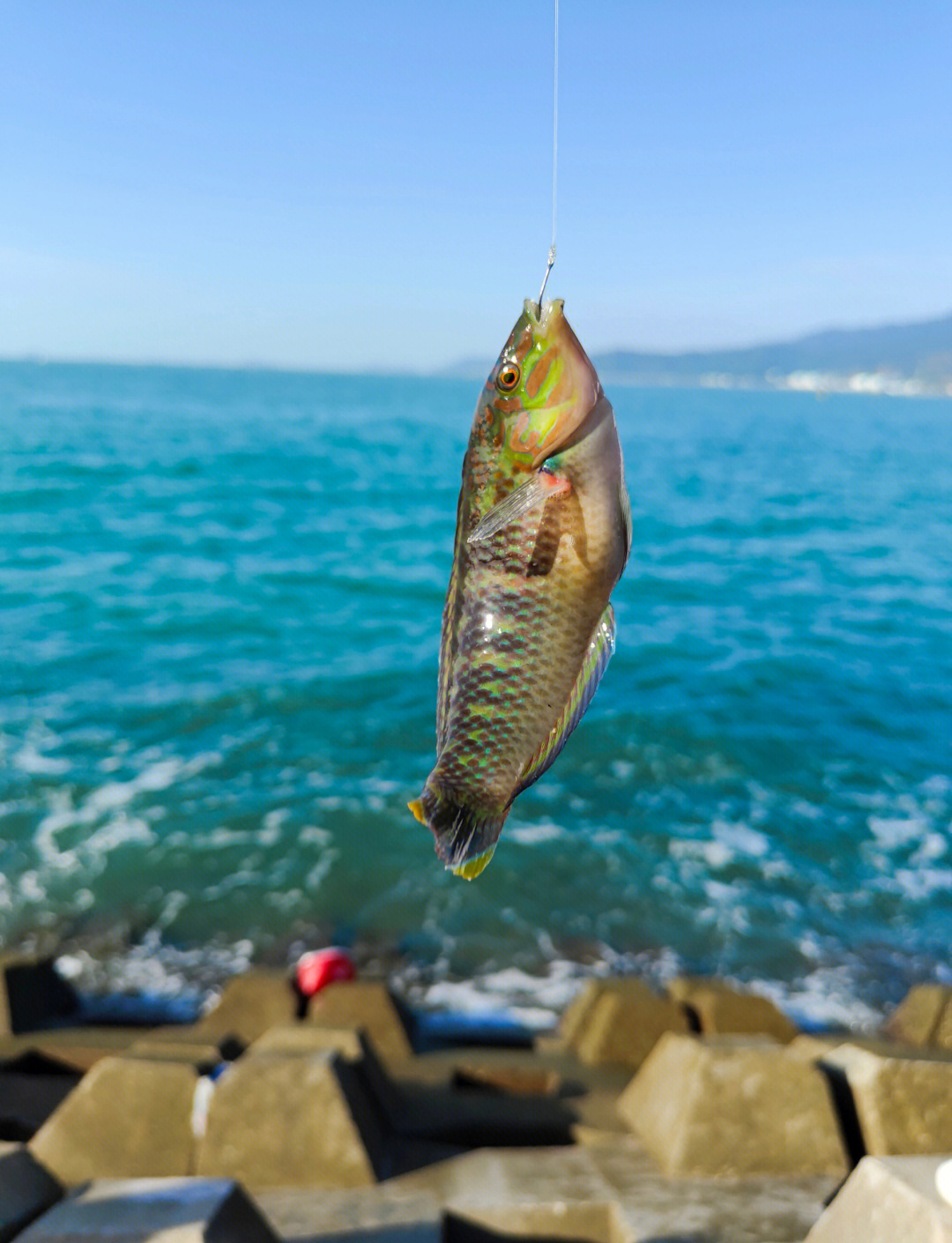 海钓大潮中潮(海钓大潮钓鱼是好还是不好) 海钓大潮中潮(海钓大潮钓鱼是好还是不好)