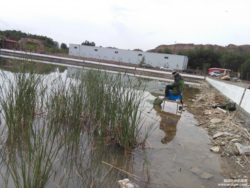 深圳大青海钓网(深圳海钓视频) 深圳大青海钓网(深圳海钓视频)