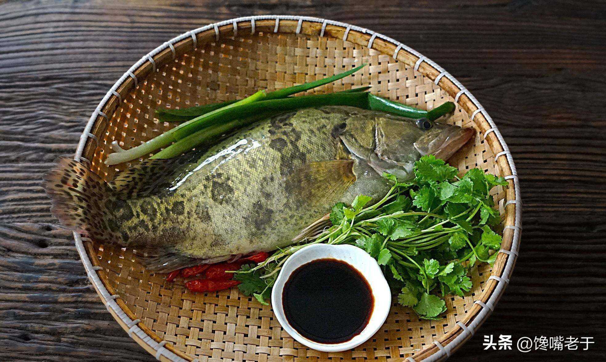 溜桂鱼技巧(桂鱼怎样吃) 溜桂鱼技巧(桂鱼怎样吃)