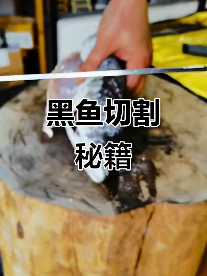 亮片黑鱼技巧(钓黑鱼用亮片好还是不用亮片好) 亮片黑鱼技巧(钓黑鱼用亮片好还是不用亮片好)