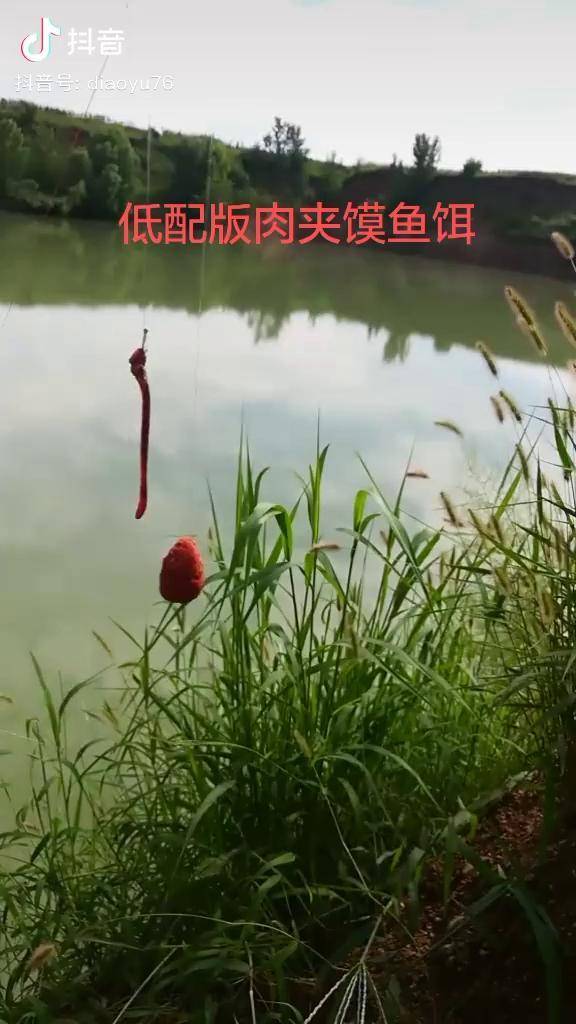 夏天野坑钓鱼技巧(夏天野坑钓鱼技巧图解)