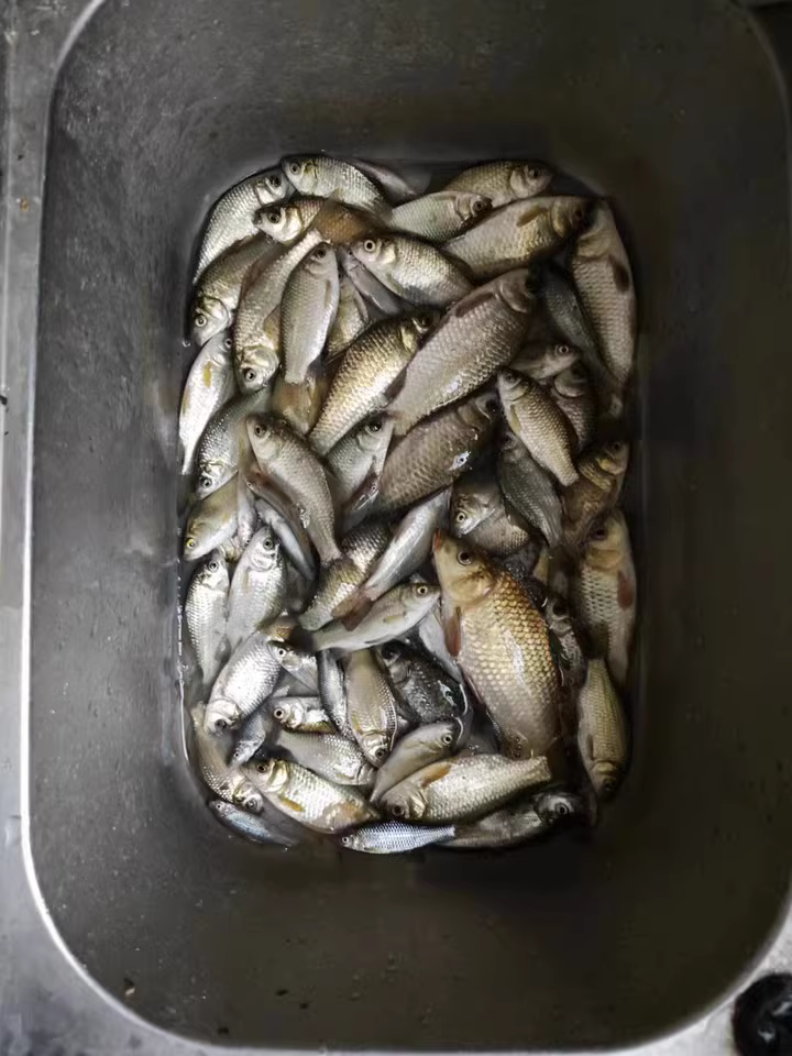 路亚竿带漂钓(路亚竿漂钓最简单三个绝招)