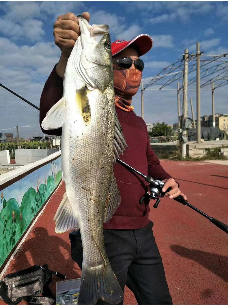 2014海钓路亚(路亚竿海钓视频) 2014海钓路亚(路亚竿海钓视频)