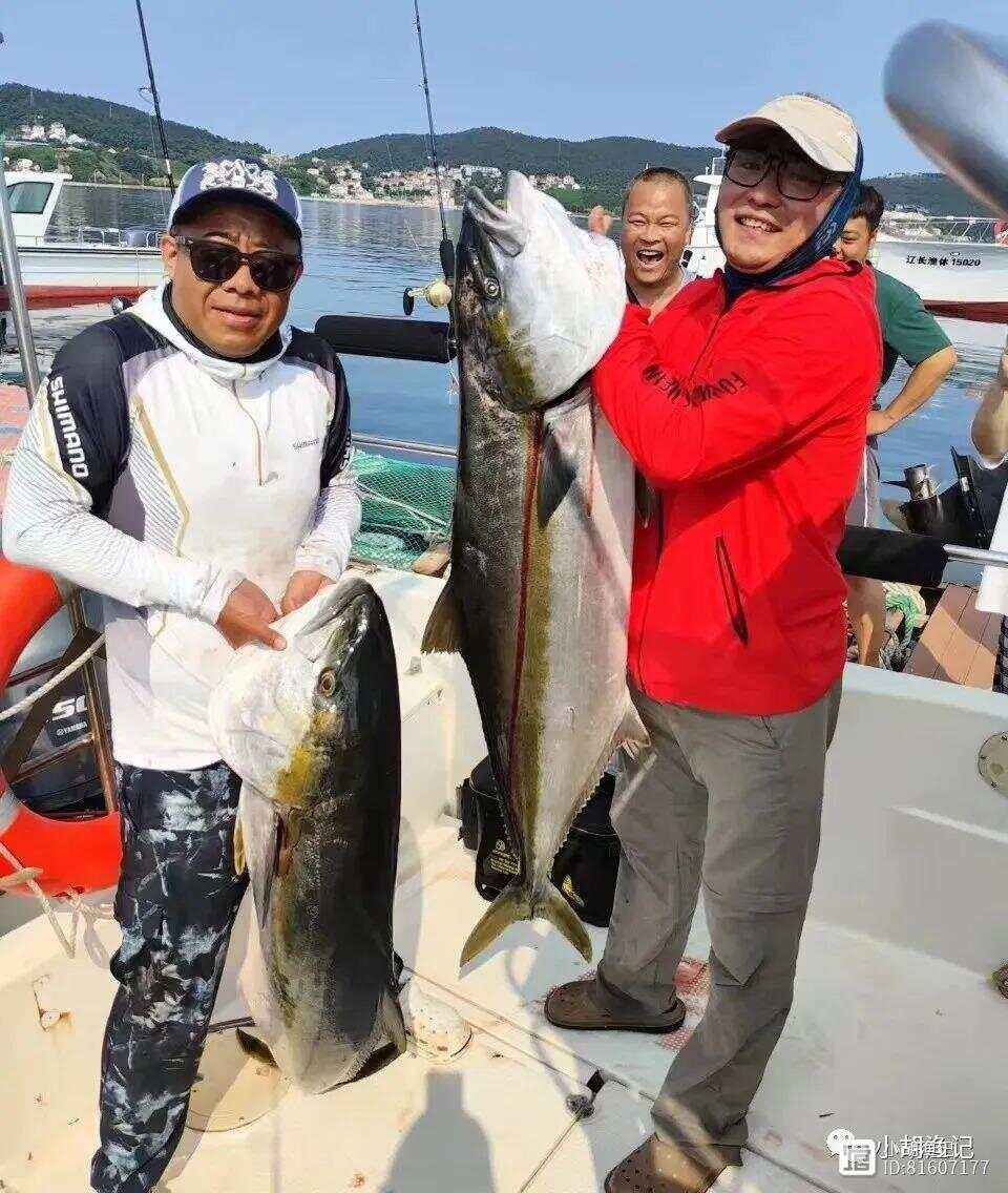 大连章子岛海钓视频(大连璋子岛) 大连章子岛海钓视频(大连璋子岛)