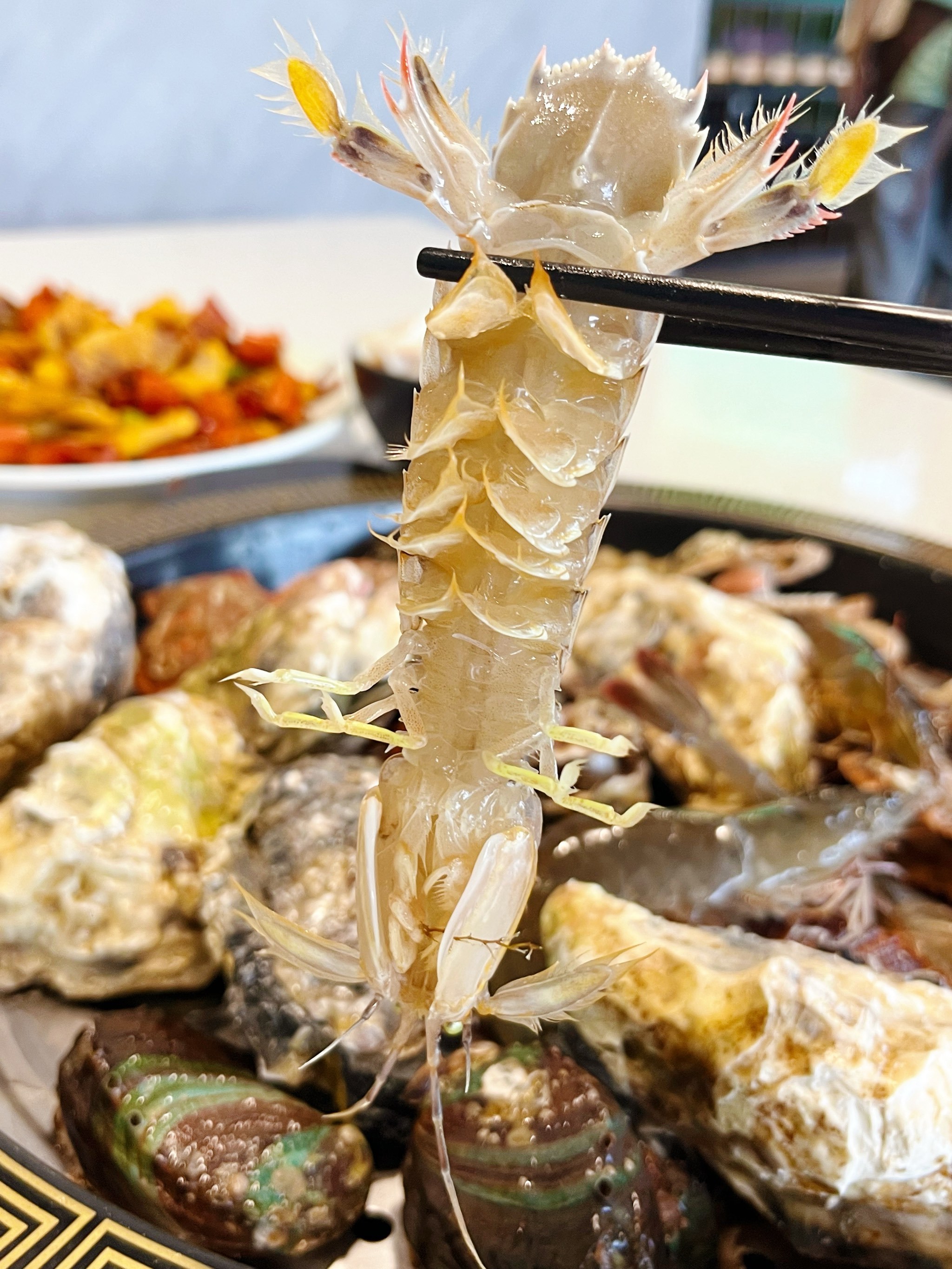 鲍鱼排海钓(蚝排钓鱼技巧) 鲍鱼排海钓(蚝排钓鱼技巧)