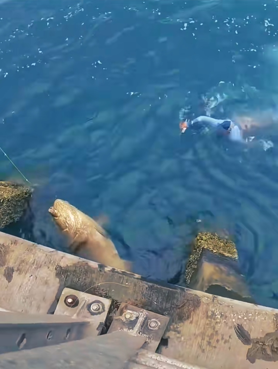 海钓掐流水(海钓流水大用多少克铅坠) 海钓掐流水(海钓流水大用多少克铅坠)
