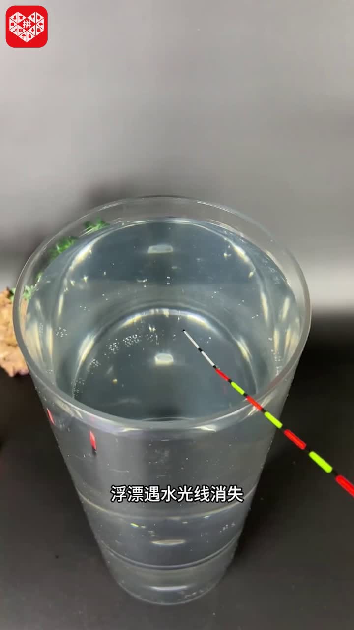 饵料影响浮漂(饵料影响浮漂效果吗) 饵料影响浮漂(饵料影响浮漂效果吗)