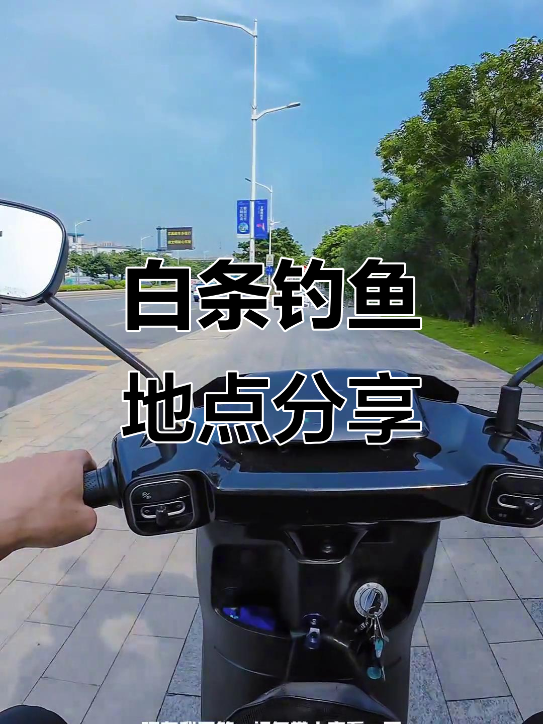 路亚白条怎么玩(路亚白条用什么饵最好视频) 路亚白条怎么玩(路亚白条用什么饵最好视频)