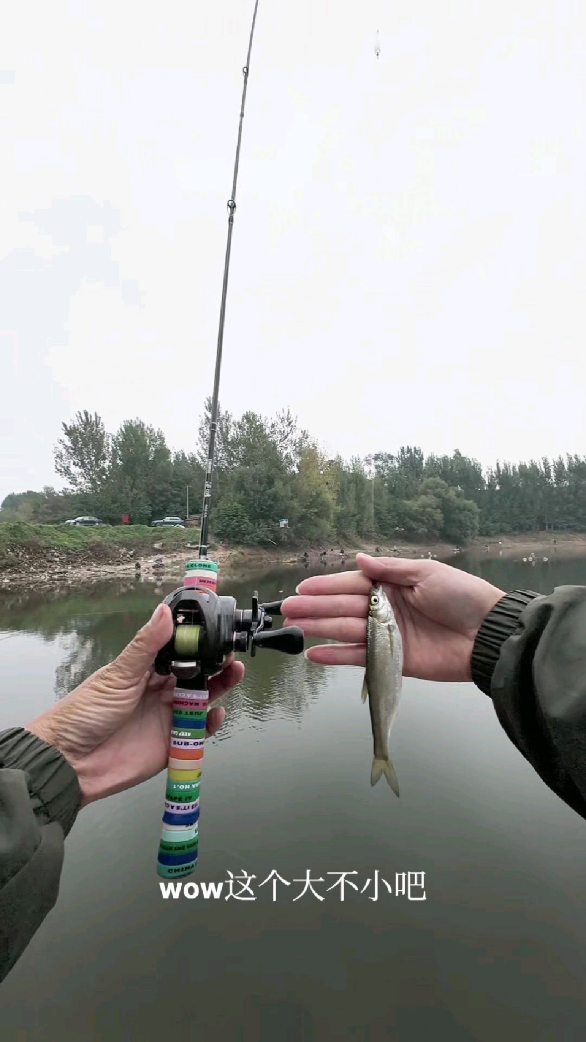 路亚白条怎么玩(路亚白条用什么饵最好视频) 路亚白条怎么玩(路亚白条用什么饵最好视频)