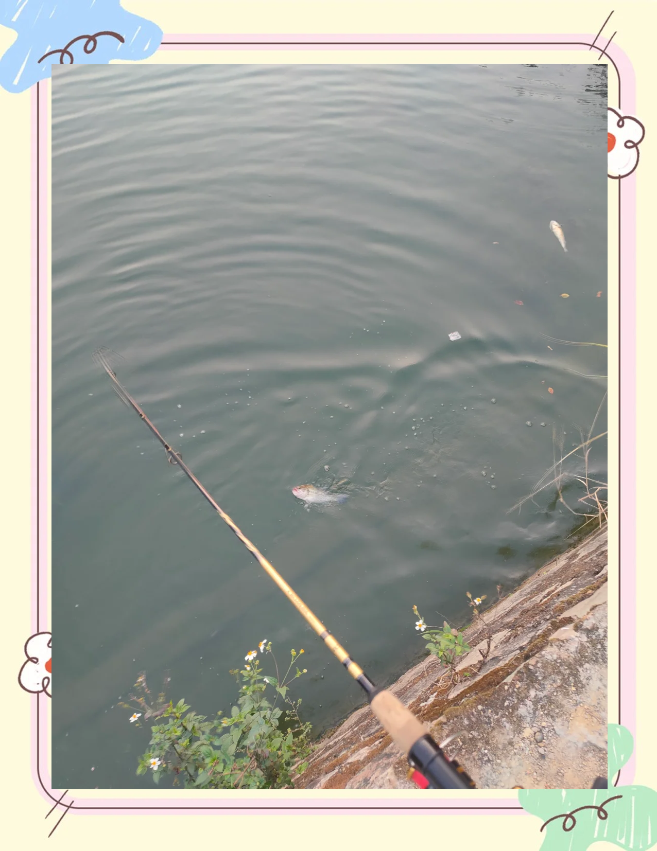 广州路亚场地(广州哪里有路亚资源) 广州路亚场地(广州哪里有路亚资源)