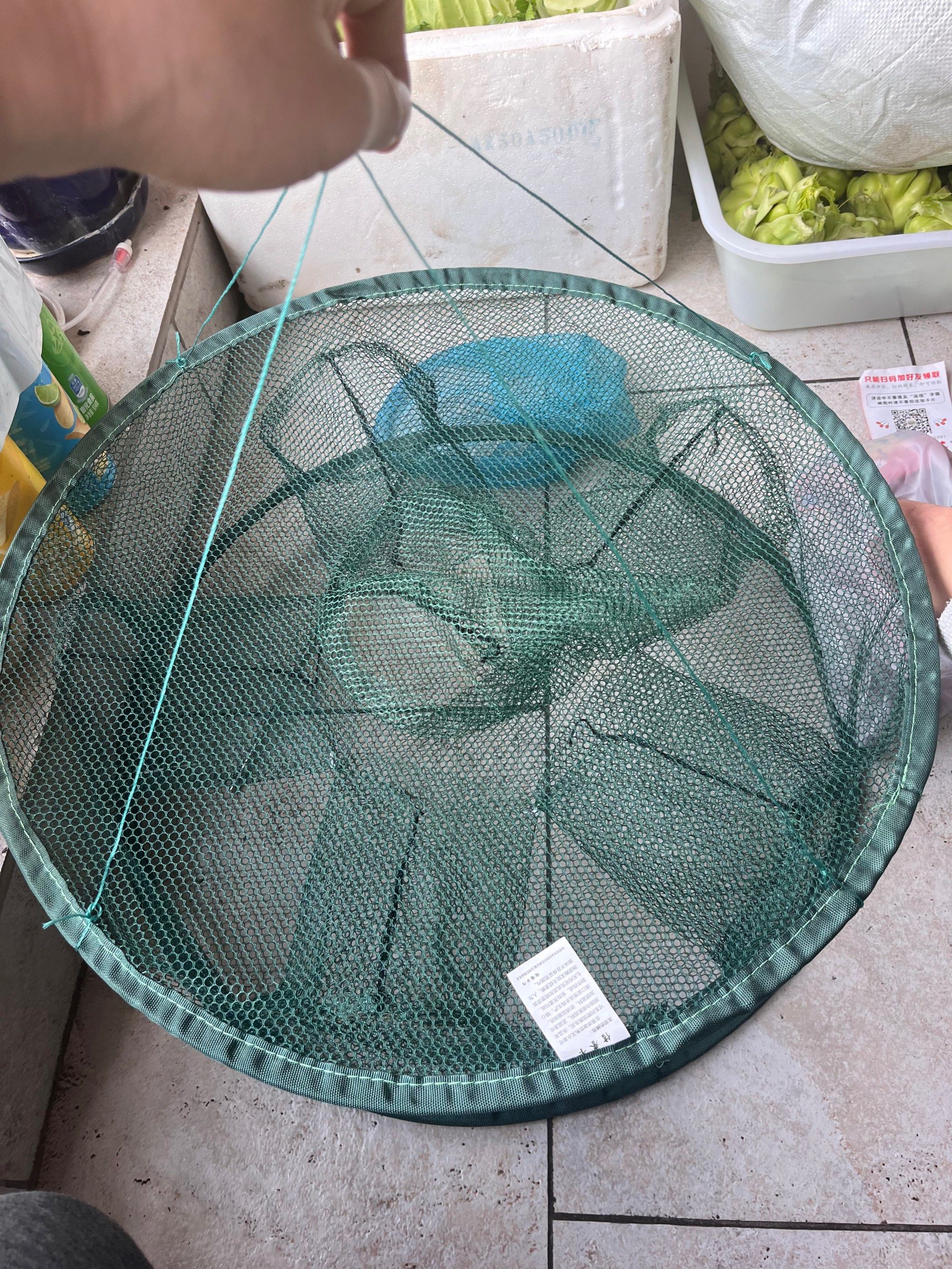 河里用网捞鱼技巧(用网捞鱼怎么捞) 河里用网捞鱼技巧(用网捞鱼怎么捞)