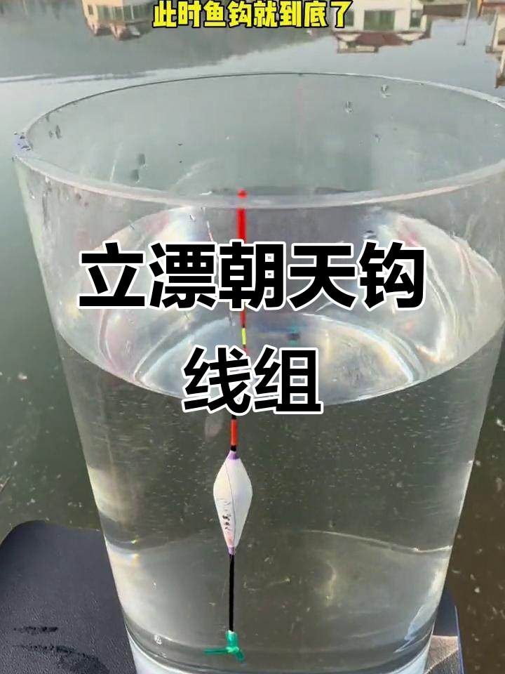 朝天鱼钩使用技巧(朝天钩是钓什么鱼的)