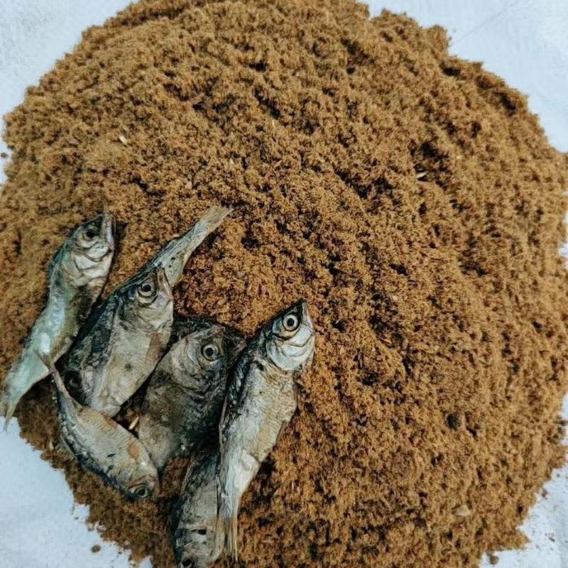 自制鱼粉饵料(鱼粉饵料怎么钓鱼)