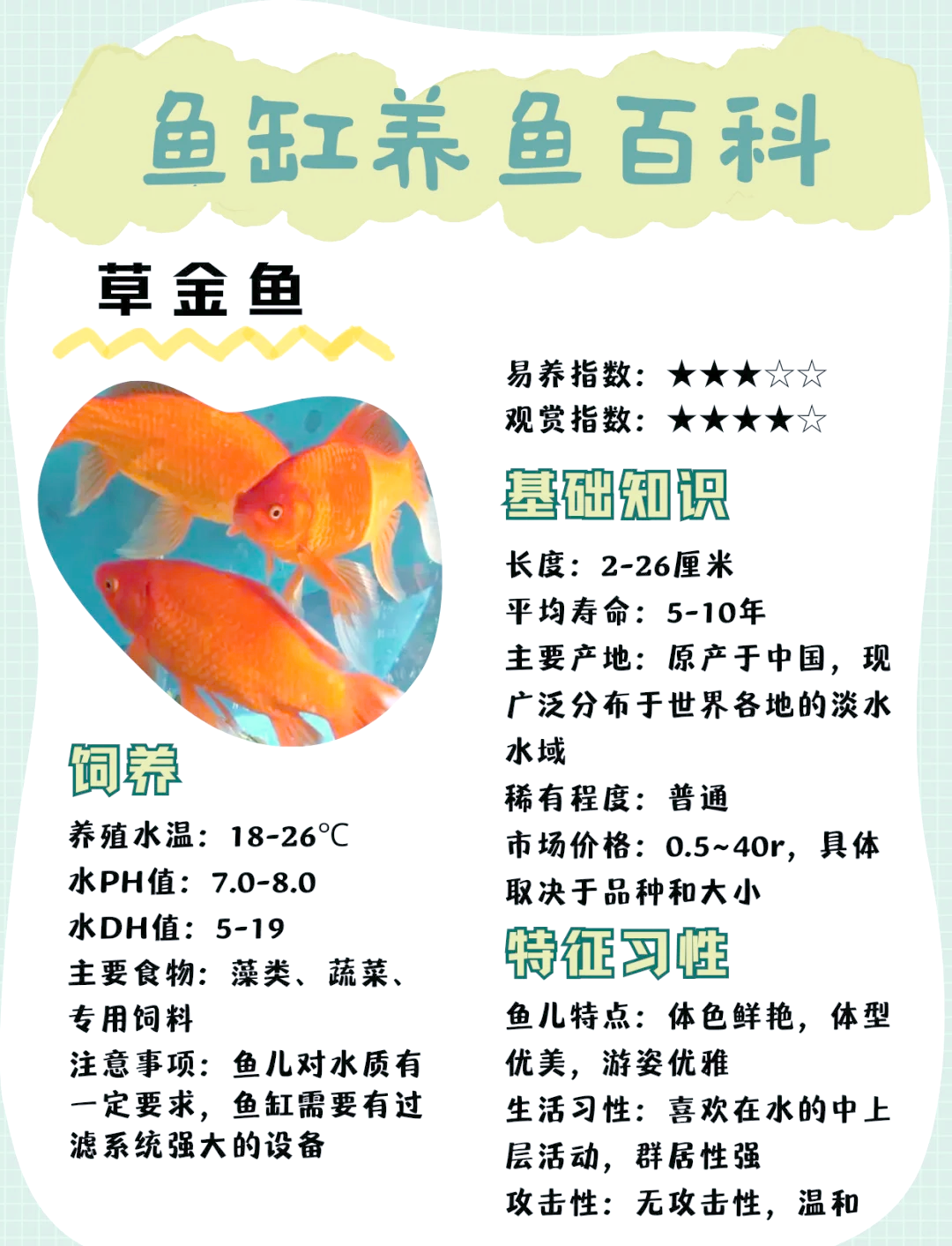 喂草养鱼塘钓草鱼技巧(鱼塘养殖草鱼吃什么饵料) 喂草养鱼塘钓草鱼技巧(鱼塘养殖草鱼吃什么饵料)