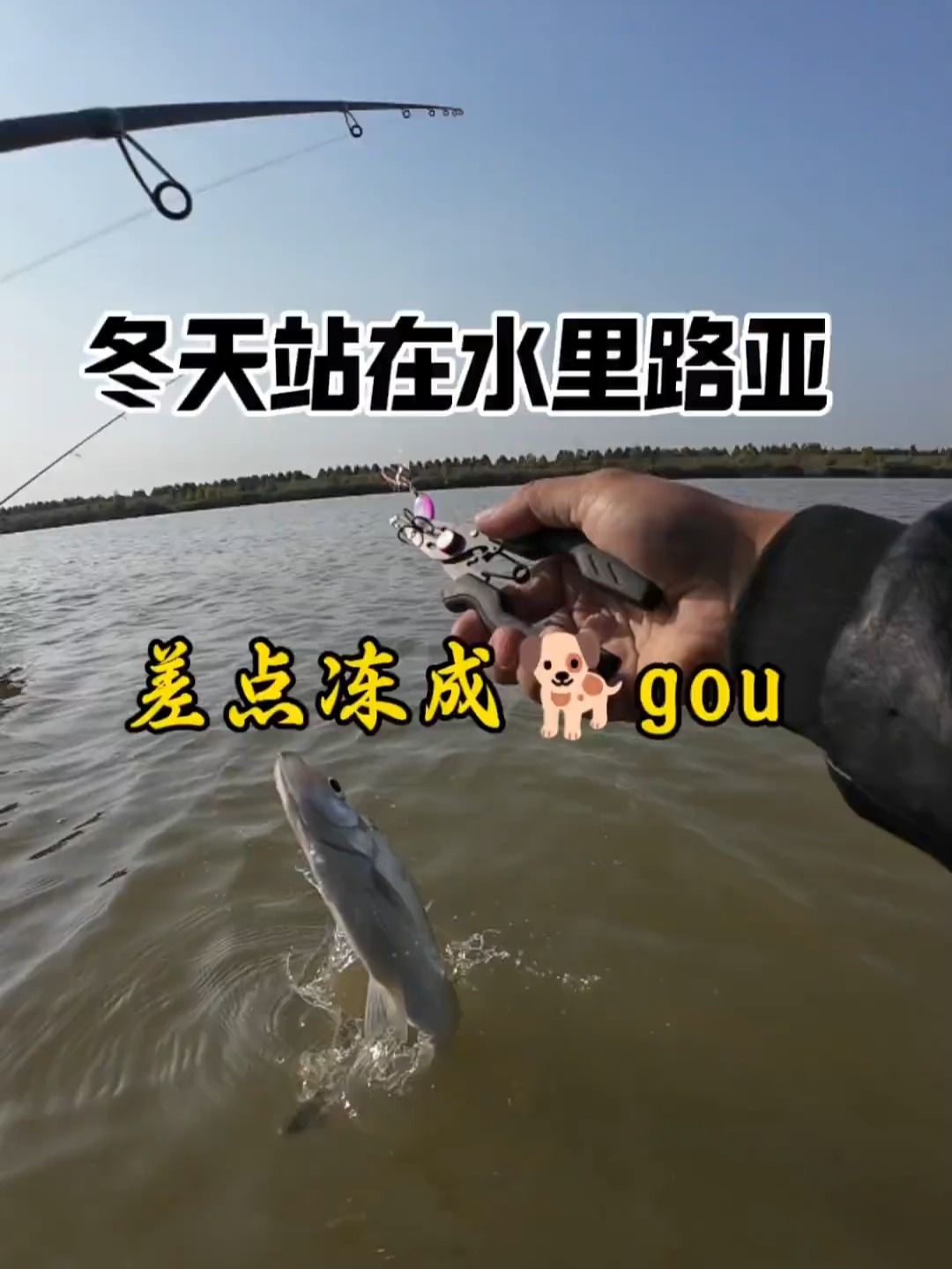 冬季冰钓技巧(冬天冰钓怎么调漂)