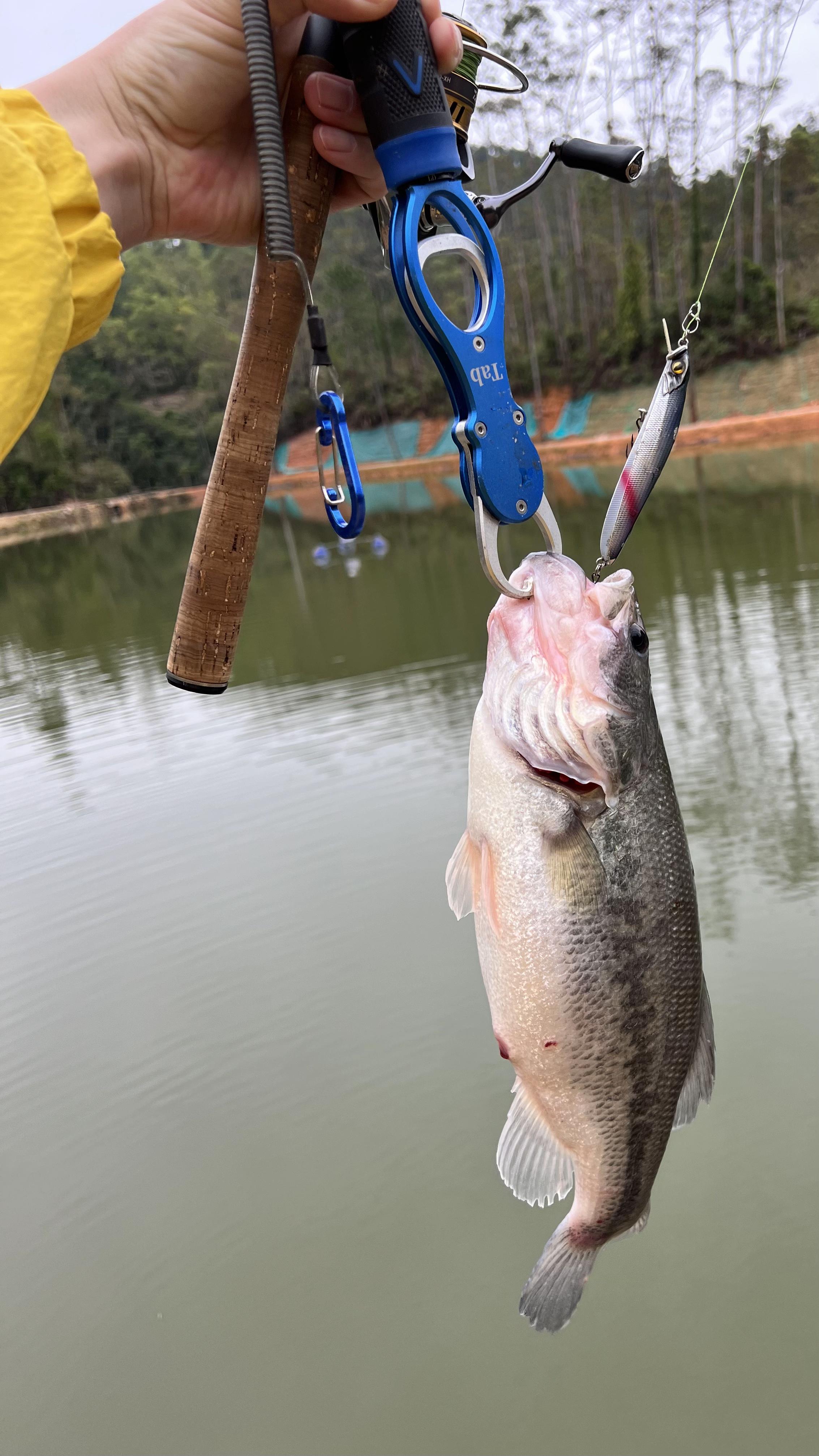 路亚适合场地(路亚适应钓什么鱼啊?) 路亚适合场地(路亚适应钓什么鱼啊?)