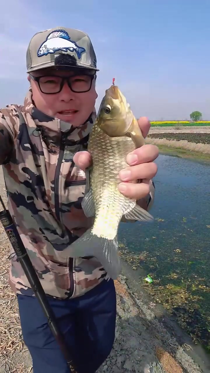 初春草洞钓大鲫技巧(初春草洞钓大鲫技巧视频) 初春草洞钓大鲫技巧(初春草洞钓大鲫技巧视频)