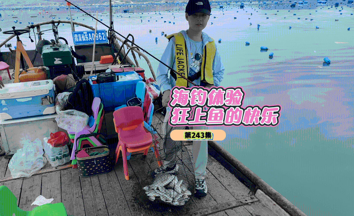 霞浦海钓点(福建霞浦海钓最佳时期) 霞浦海钓点(福建霞浦海钓最佳时期)