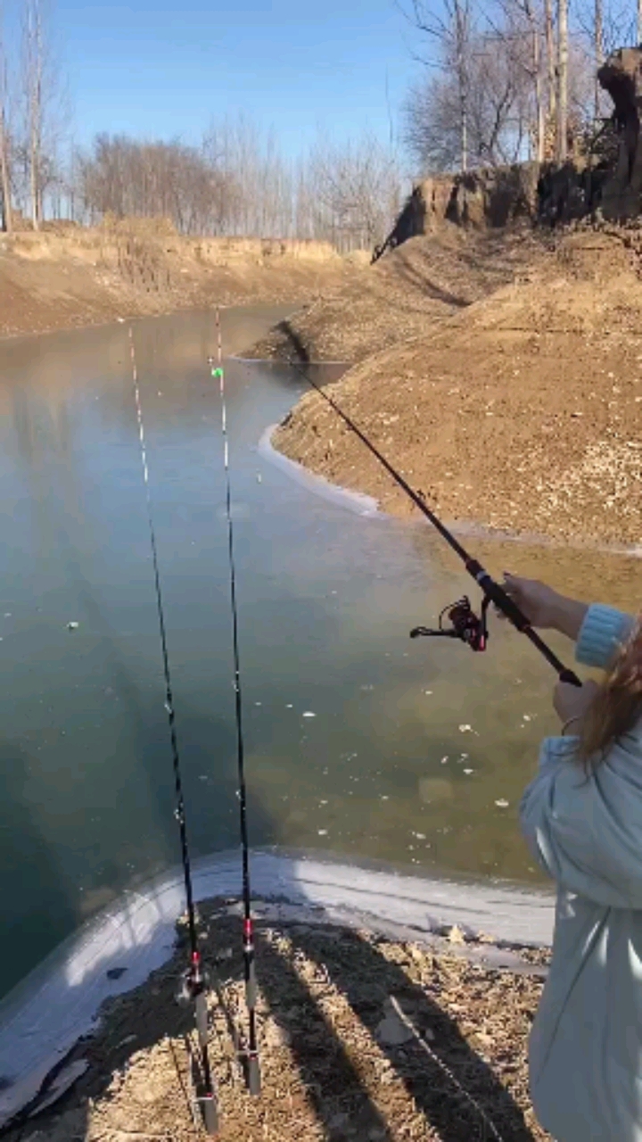 冬天抛竿饵料钓(冬天抛竿钓鱼) 冬天抛竿饵料钓(冬天抛竿钓鱼)