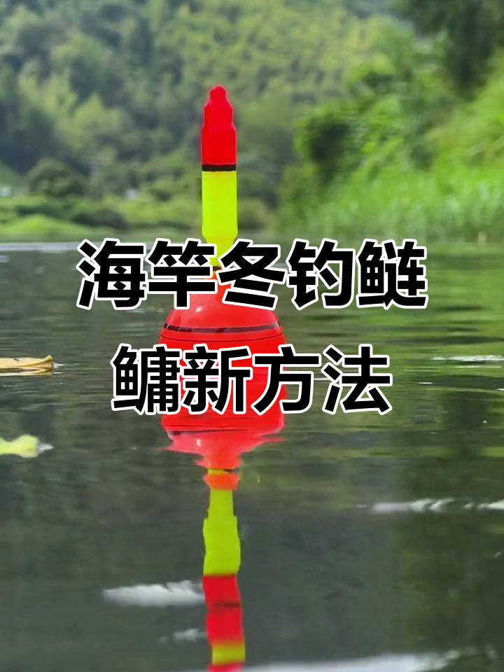 冬天抛竿饵料钓(冬天抛竿钓鱼) 冬天抛竿饵料钓(冬天抛竿钓鱼)