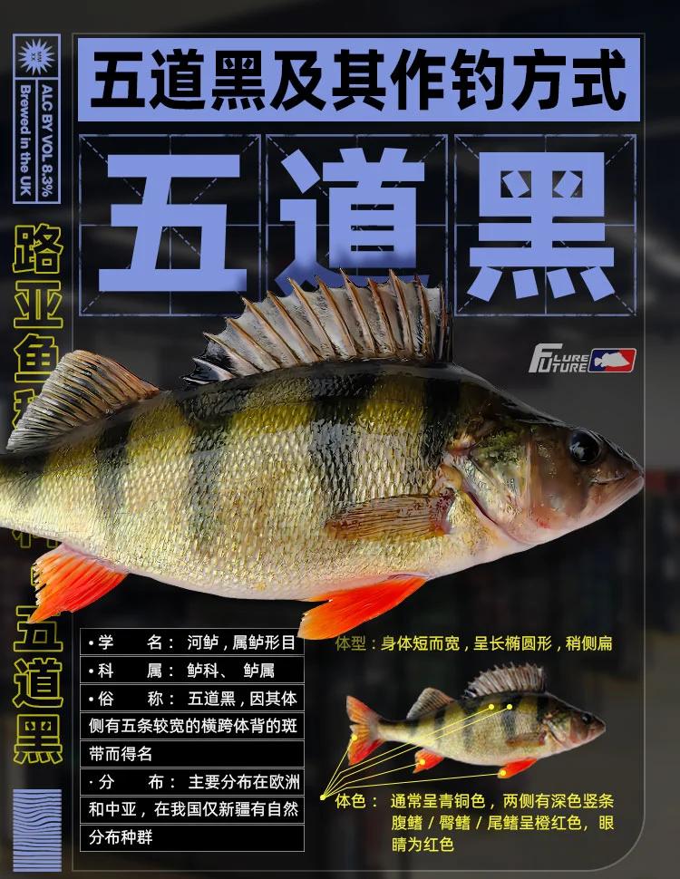 野河钓黑鱼技巧(野河怎么钓黑鱼) 野河钓黑鱼技巧(野河怎么钓黑鱼)