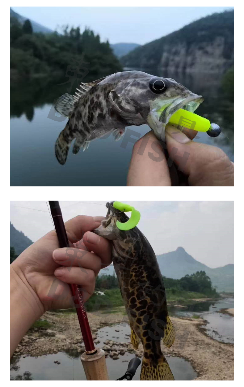 路亚软虫钓鱼(路亚软虫钓组的各自特点) 路亚软虫钓鱼(路亚软虫钓组的各自特点)